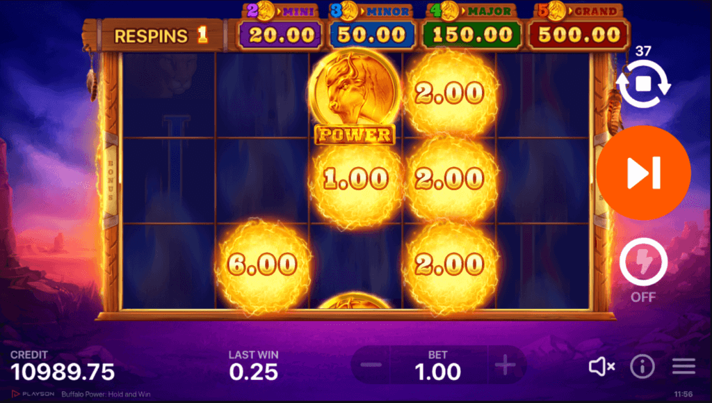 Buffalo Power slot hold and win feature